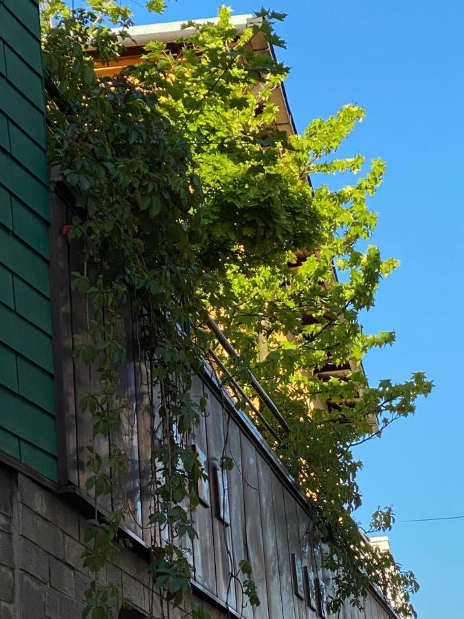 Hotel Zillners Einkehr *** Altheim Zewnętrze zdjęcie
